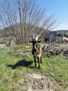 IMG_20250409_102402 (002)