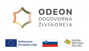 Posnetek zaslona 2026-07-03 132154