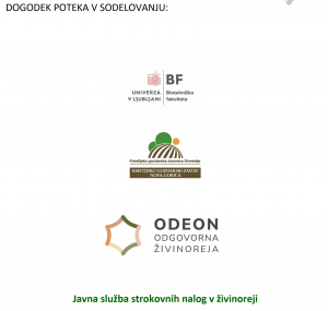 Posnetek zaslona 2026-10-09 134725